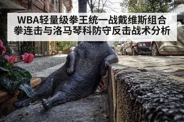 WBA轻量级拳王统一战戴维斯组合拳连击与洛马琴科防守反击战术分析