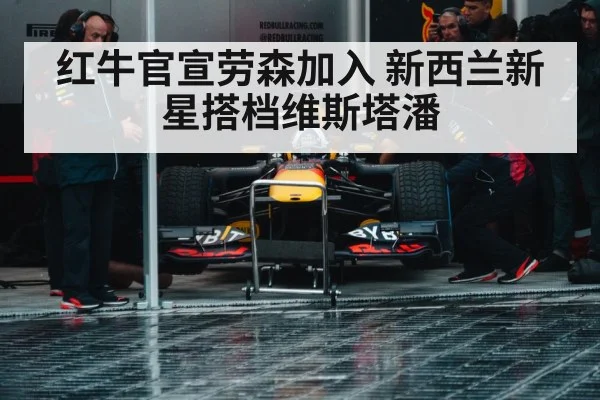 Max Verstappen Red Bull