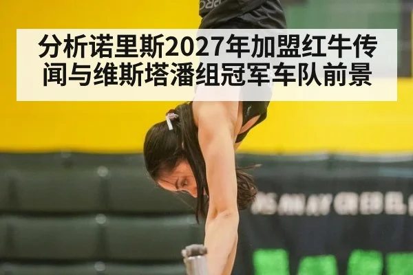 分析诺里斯2027年加盟红牛传闻与维斯塔潘组冠军车队前景