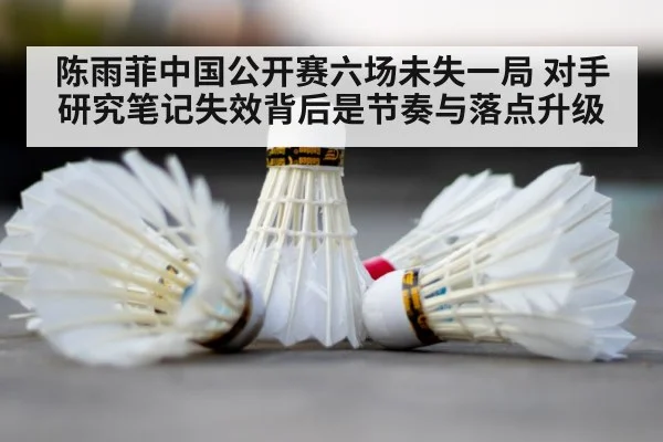 badminton shuttlecock court