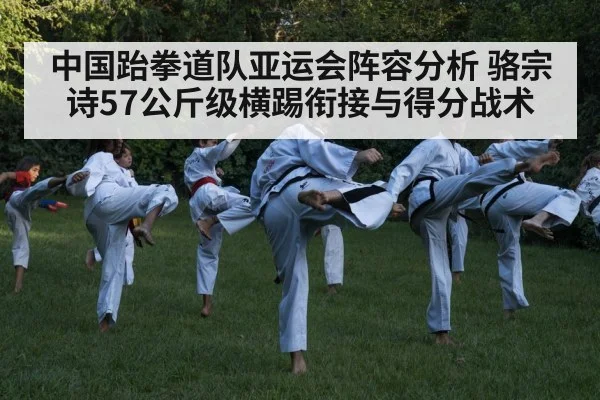 中国跆拳道队亚运会阵容分析 骆宗诗57公斤级横踢衔接与得分战术