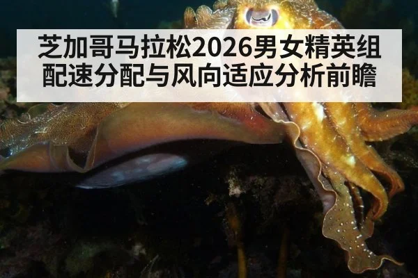 芝加哥马拉松2026男女精英组配速分配与风向适应分析前瞻